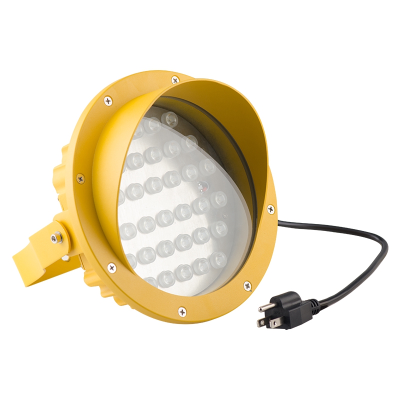 50W Loading Dock Lights IP65 for Dock Piling Lights