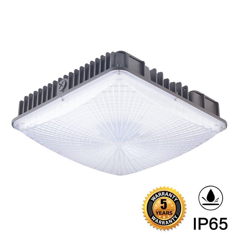 Surface mount canopy light deals