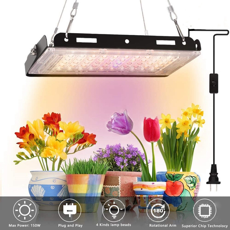 150W Growing Vegetables Indoors With LED Lights - BBIER®