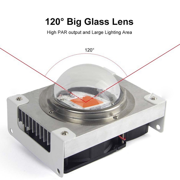 Best 5 LED Grow Lights IP44 With CE ROHS Listed for Vegetables