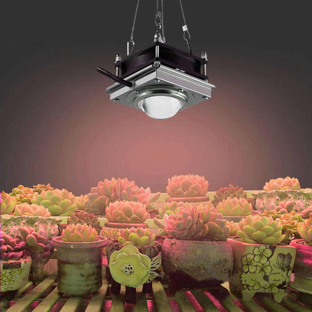 Best Grow Lights for Vegetables IP60 - BBIER®