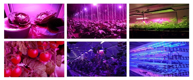 20w T8 T10 Full Spectrum High Quality Led Grow Lightalt