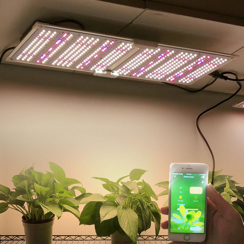220W Best Grow Light for Tomatoes IP65 3500K with Full Spectrum 100-277V
