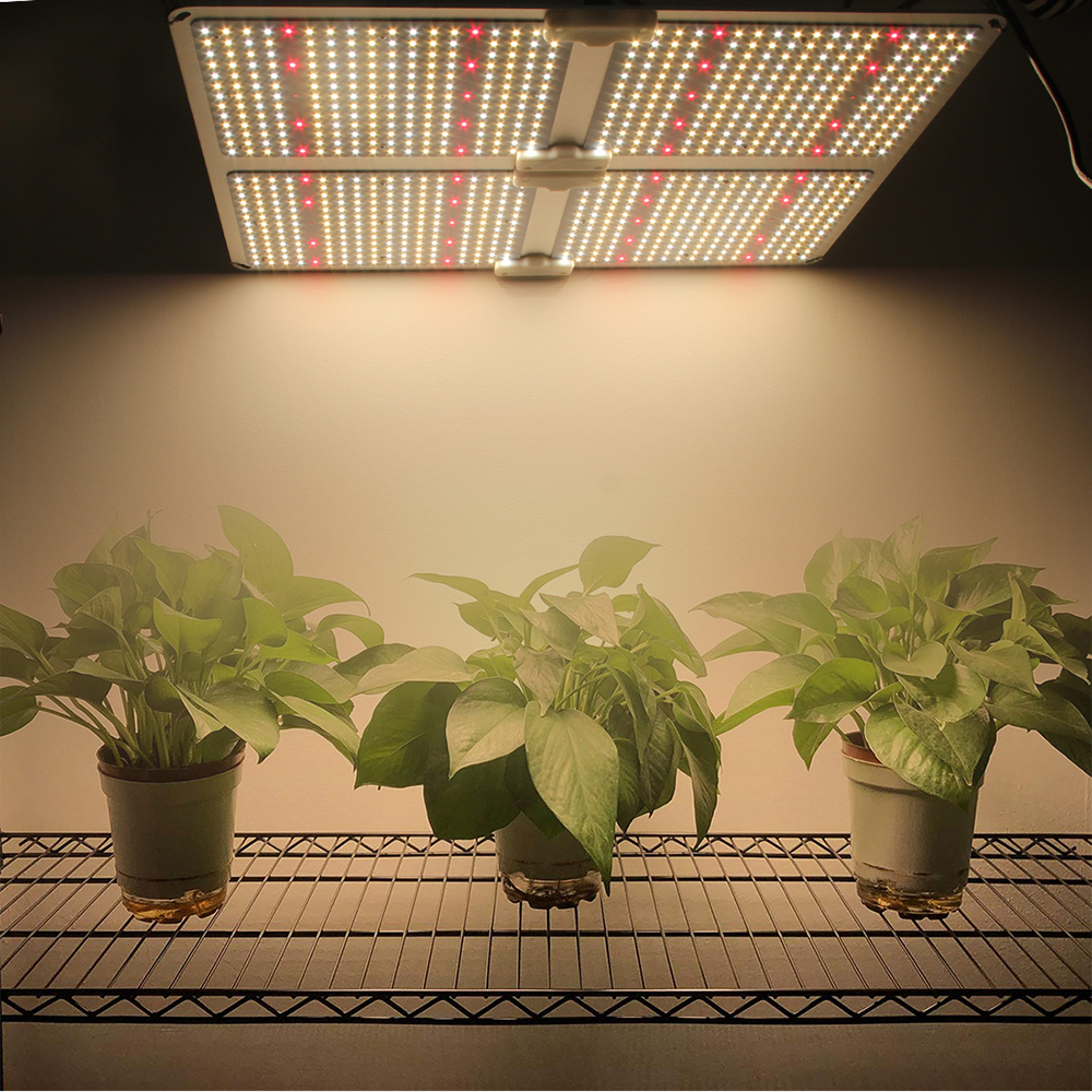 110W 220W 440W 660W Quantum Board LED Grow Light Fixture IP65 with Full Spectrum 100-277VAC