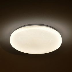 9 Inch Flush Mount Ceiling Light Ceiling Lights Fixture Surface Mounted LED Ceiling Lamp