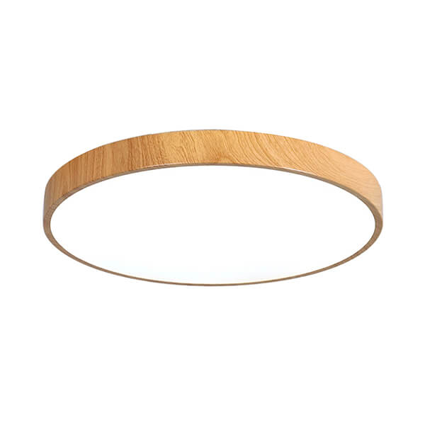 Battery operated led ceiling lights hotsell