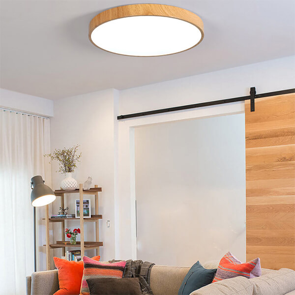 Bright Ceiling Light For Living Room