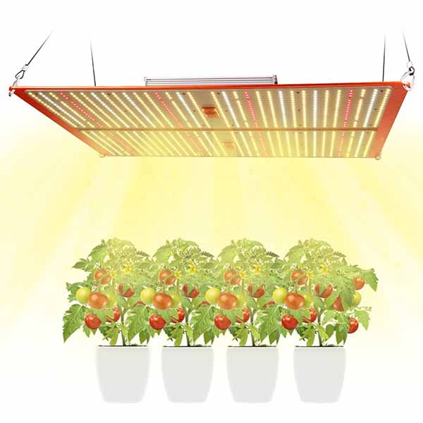 Best Indoor Led Grow Lights For Vegetables - Why LED Grow Lights Are The Best Vegetable Grow Lights