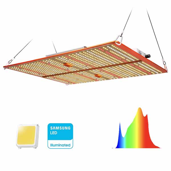 Led grow light for 6x6 clearance