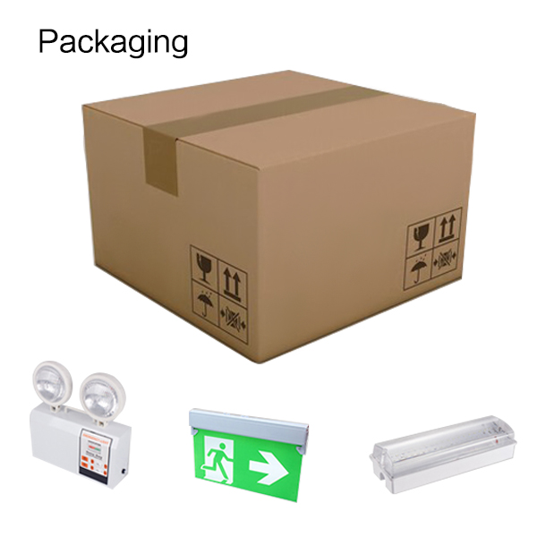 Ceiling Mounted Exit Sign 120v 220v ISO Acrylic Fire Safety Photoluminescent Light Board