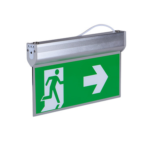 Ceiling Mounted Exit Sign 120v 220v ISO Acrylic Fire Safety Photoluminescent Light Board