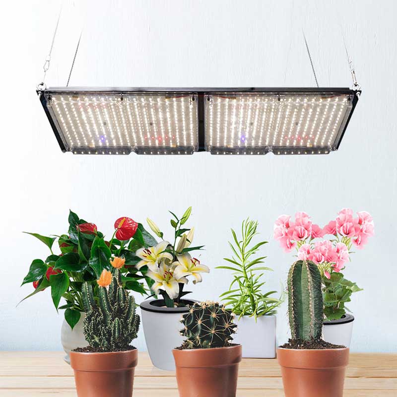 Full Spectrum Led Panel 240w Hydroponic Led Grow Light