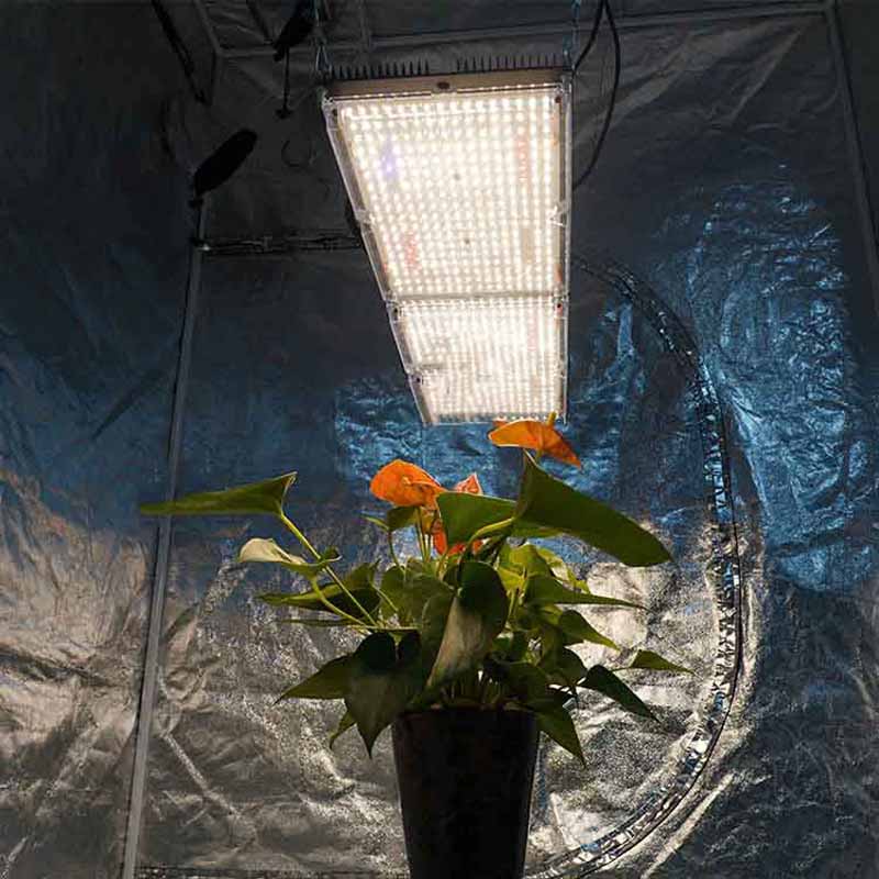 Full Spectrum Led Panel 240w Hydroponic Led Grow Light