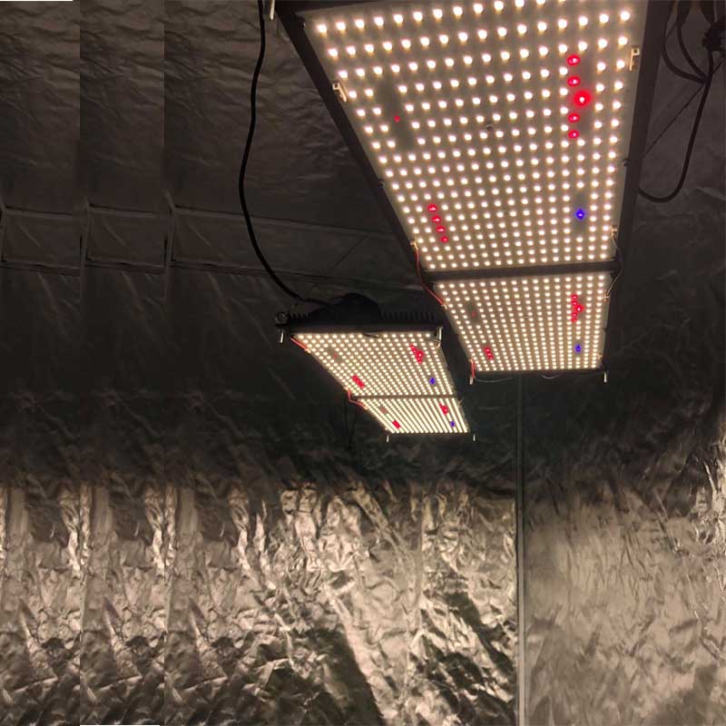Full Spectrum Led Panel 240w Hydroponic Led Grow Light
