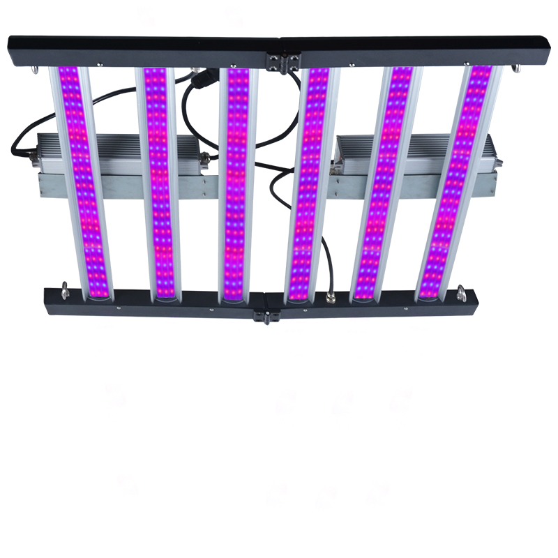What LED lights do professional growers use