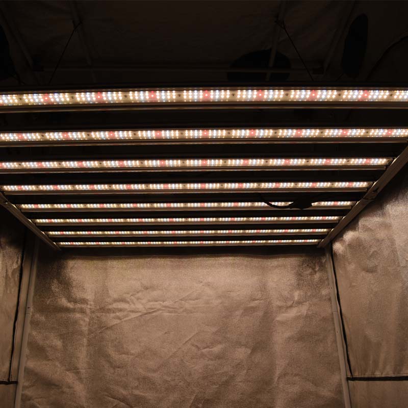 Why our 800W LED Grow Lights are suit for Marijuana Planting?