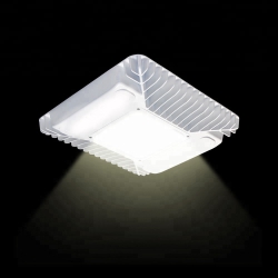 What's The LED Canopy Light?
