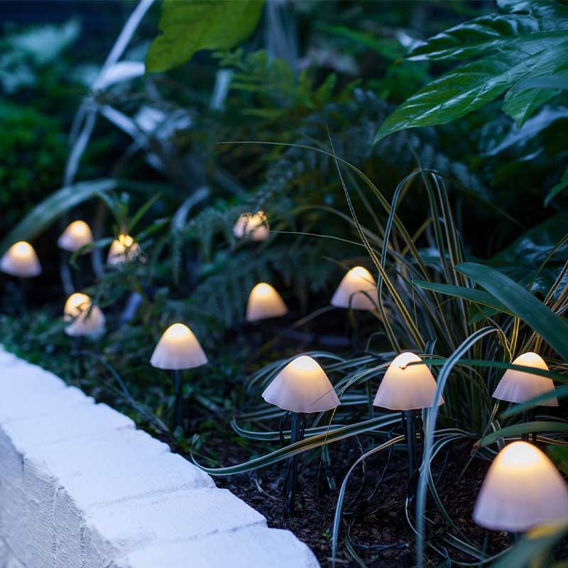 Solar lights on sale in winter
