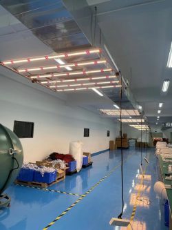 How Does an Indoor Grow Light Work?