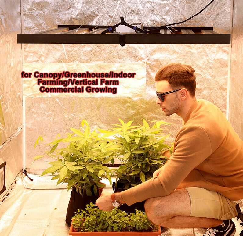 How-to-Choose-the-Best-Led-Plant-Grow-Light-for-Indoor-Plants