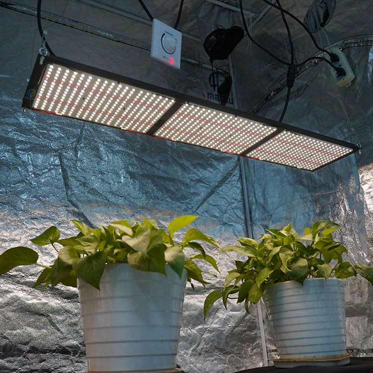 What Is A Quantum Board Grow Lights for Houseplants? - BBIER®