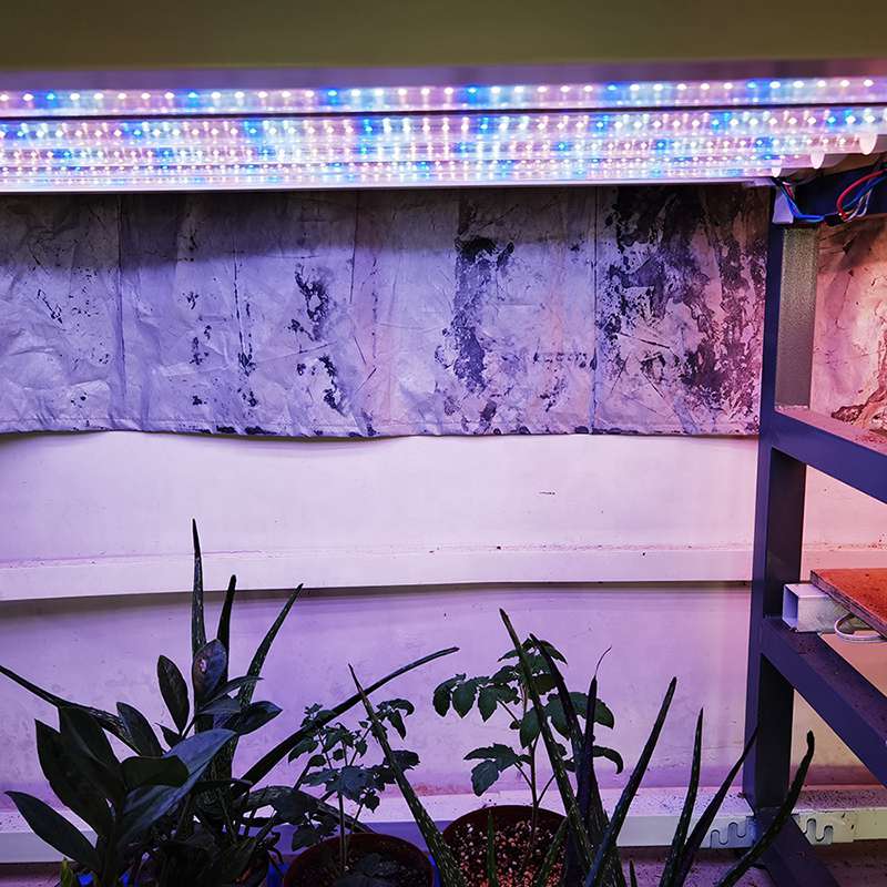 18W LED T8 Grow Bulbs IP40 with AC85-265V Double-rows