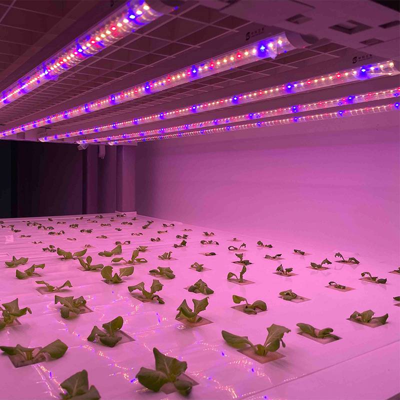 24W T8 LED Grow Light Bulbs IP40 Double-rows Full spectrum