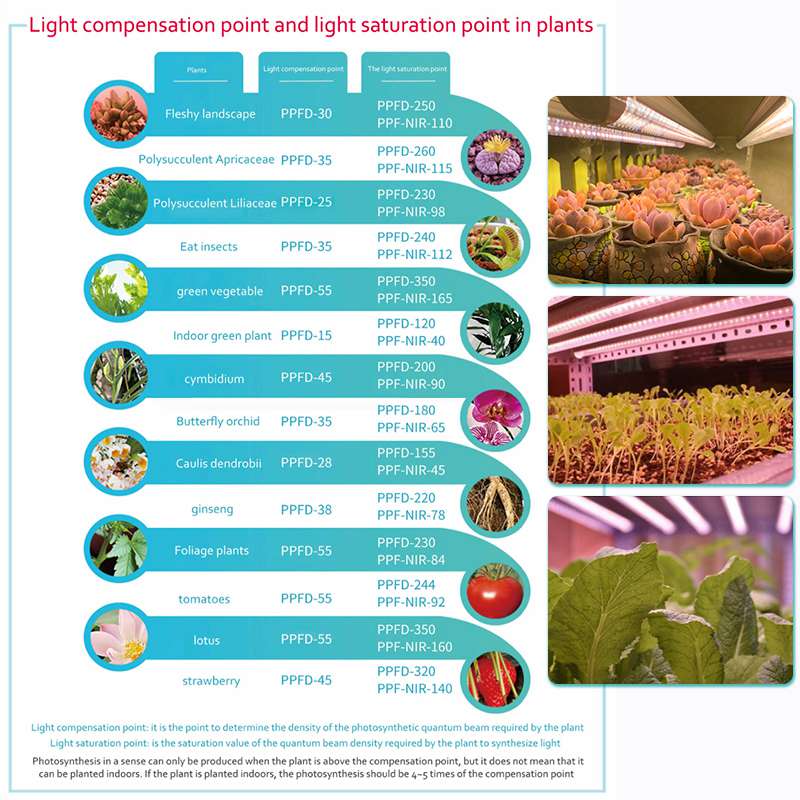 24W T8 LED Grow Light IP40 with AC85-265V Double-rows
