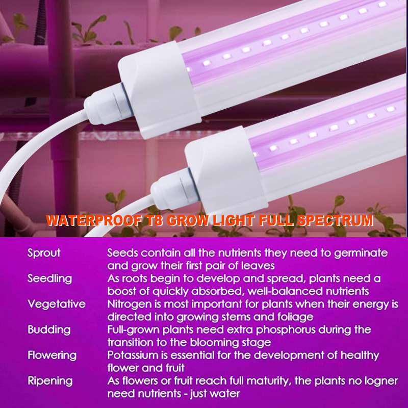 5W Full Spectrum T8 LED Bulb IP65 with Ac85-265V Fcc Listed