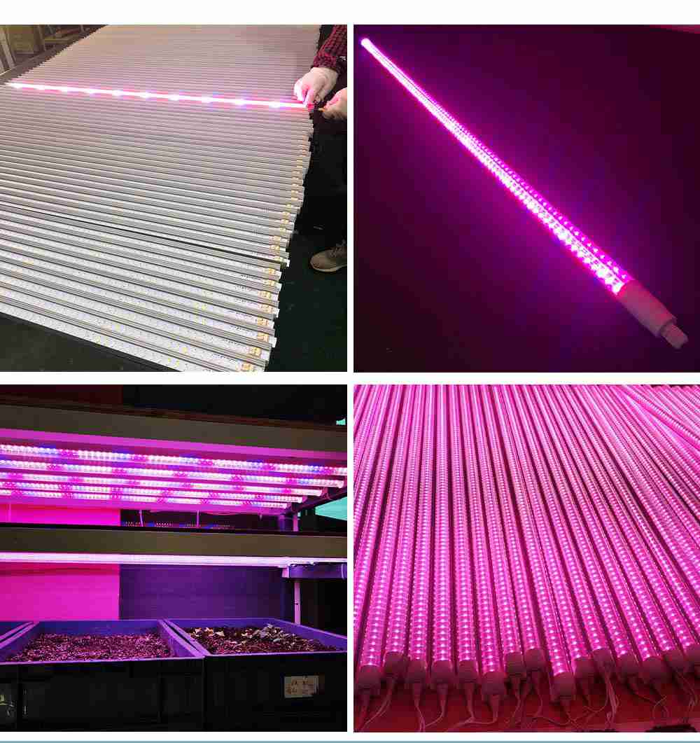 5W T8 Full Spectrum LED Plant Growth Light IP65 with AC85-265V