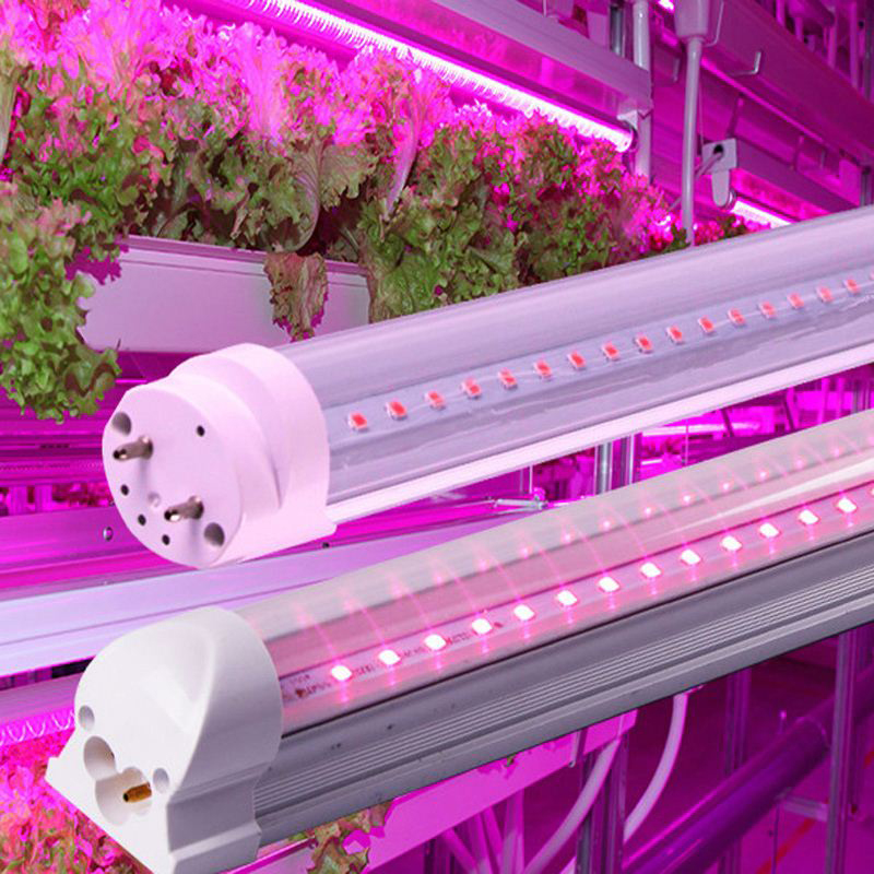 How-to-Use-T5-Grow-Light-Bulbs-to-Feed-Your-Indoor-Plants