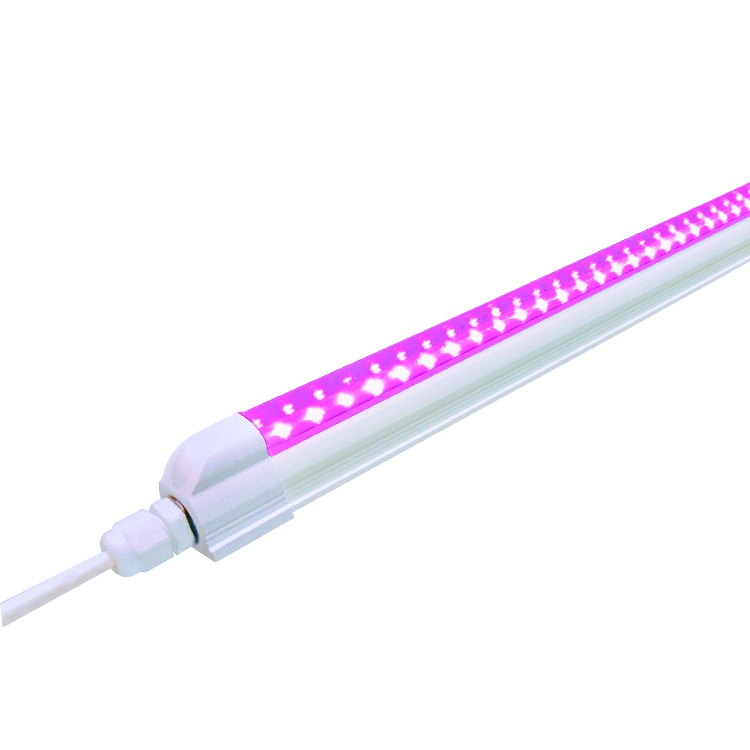 T5 Fluorescent Vs LED Grow Light 9W IP65 with AC85-265