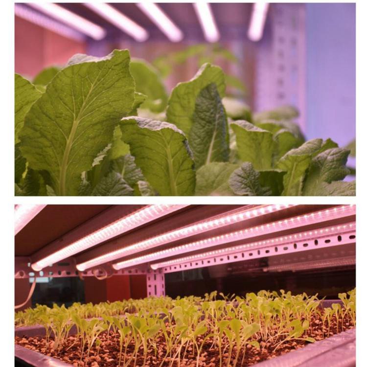 T5 LED Grow Light Fixtures 18W IP40 with AC85-265V
