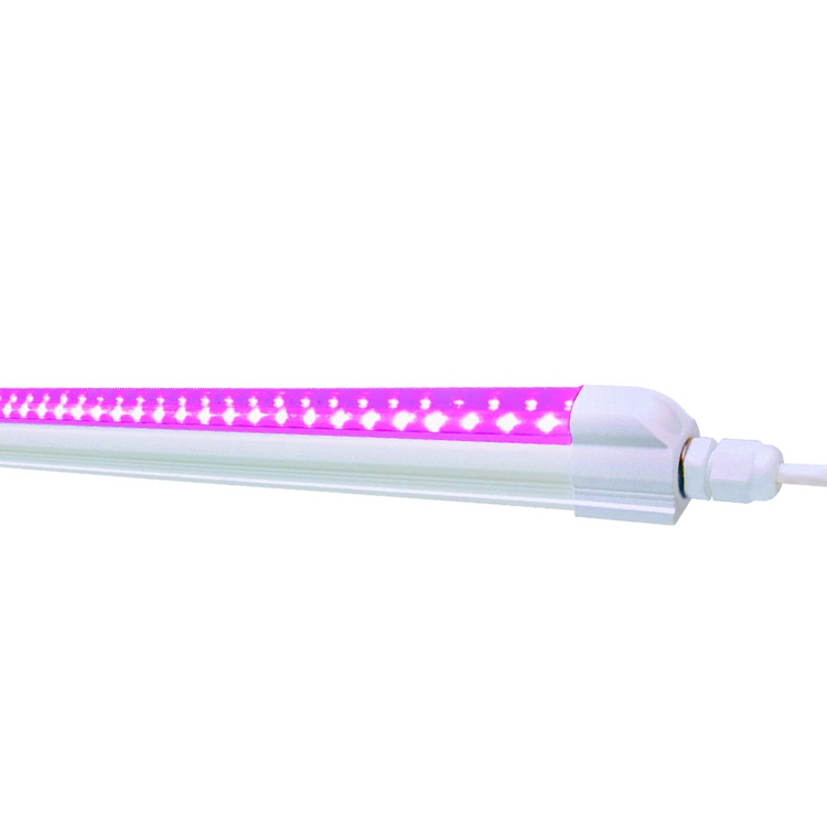 T5 LED Tube Grow Light 5W IP65 with AC85-265V CE FCC Listed