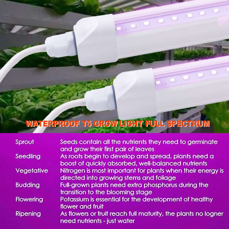 T5 LED Tube Grow Light 5W IP65 with AC85-265V CE FCC Listed