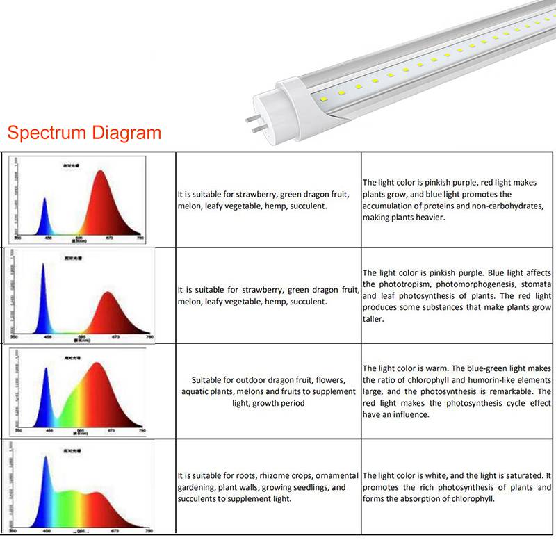 T8 Grow Light Fixture 5W IP40 AC85-265V with Full spectrum