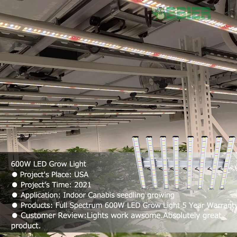 Full Spectrum 600W LED Grow Light 5 Year Warranty BBIER