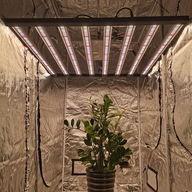 How-Far-Should-LED-grow-Lights-Be-From-Plants