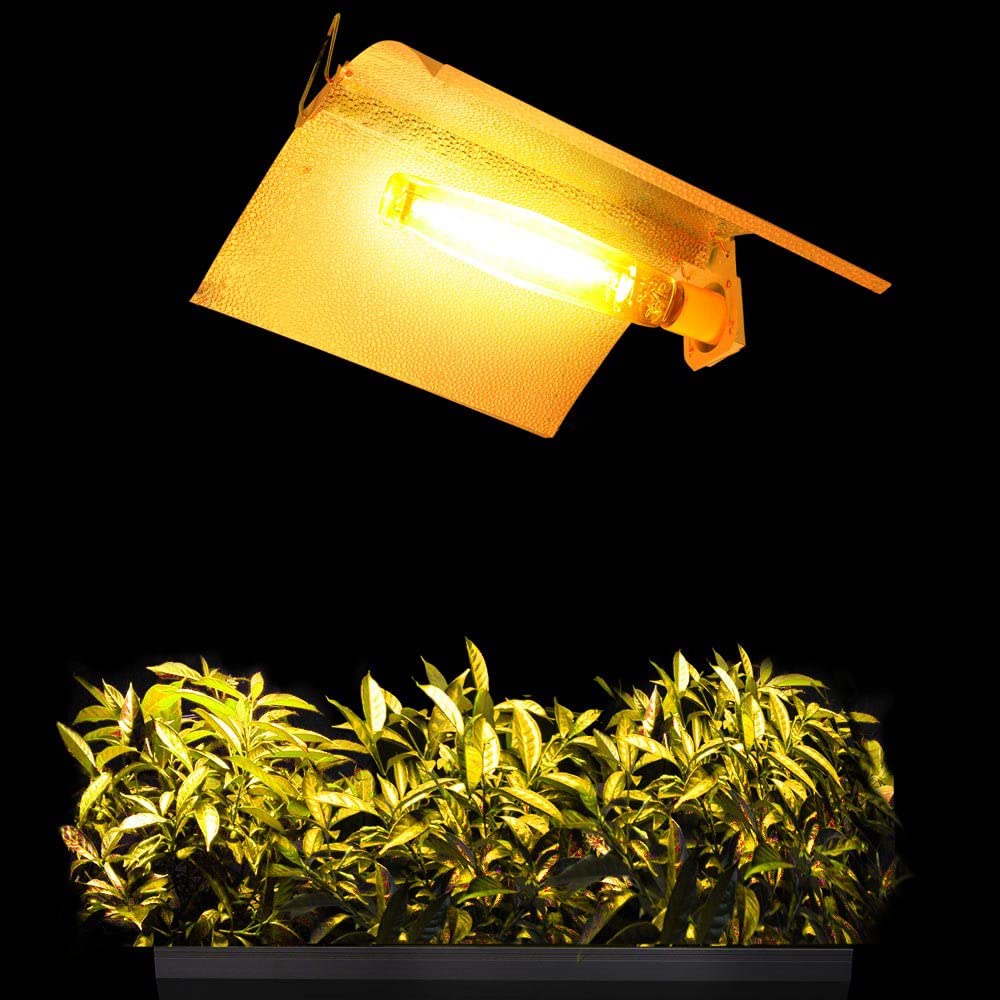 Ampoule Halogénures Métalliques 400W Croissance - Remplacement Lampe HPS/MH Pour Plantes Intérieur - Spectre Optimal 4200K