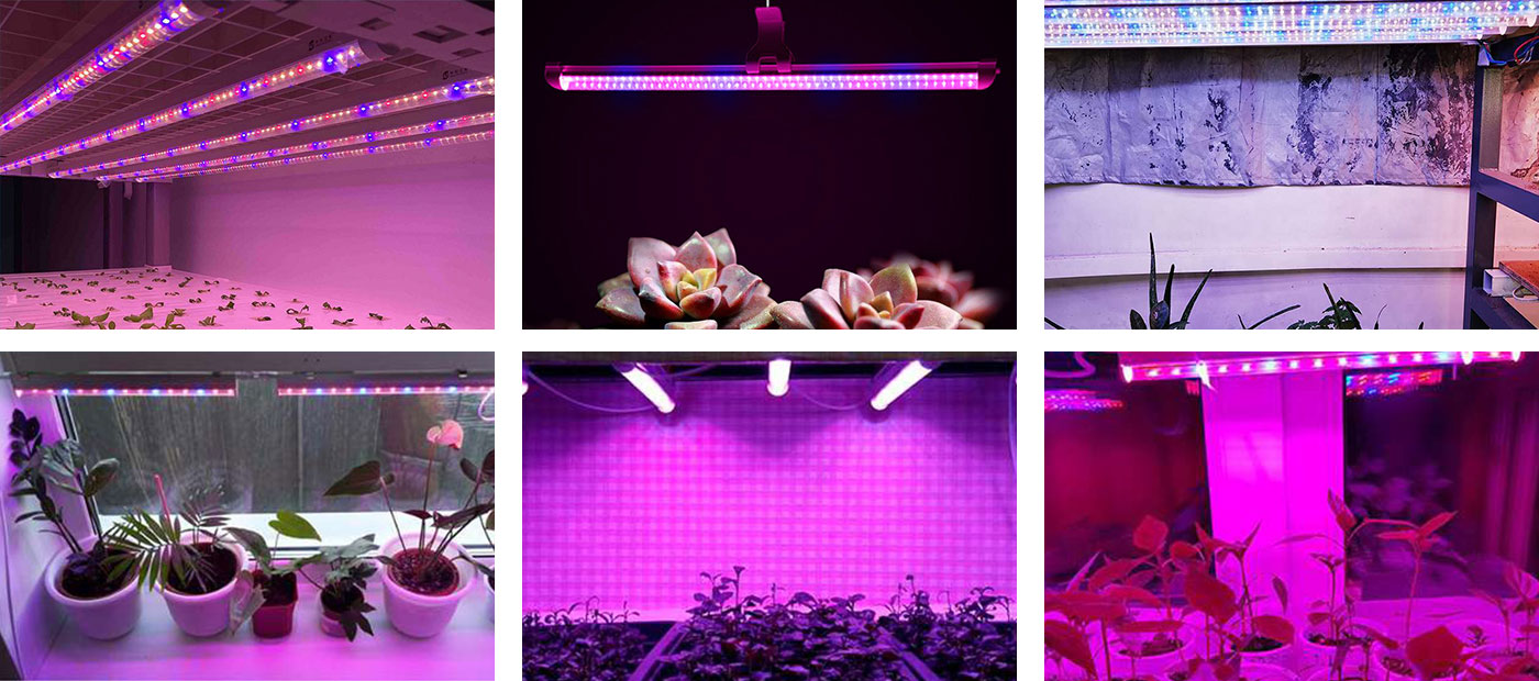 Grow Light Tubes