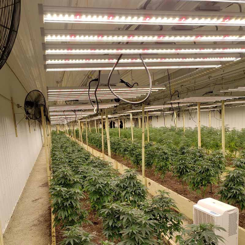 How do I choose grow led lights?