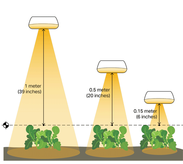 ED grow lights be from plants