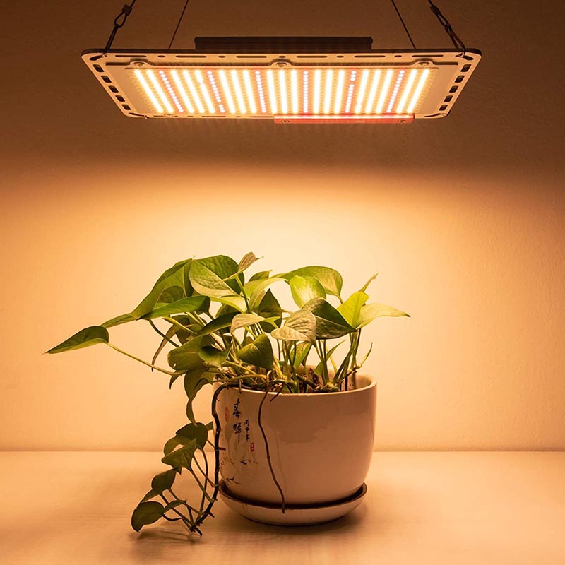 How to Use LED Grow Light Fixtures for Indoor Plants?