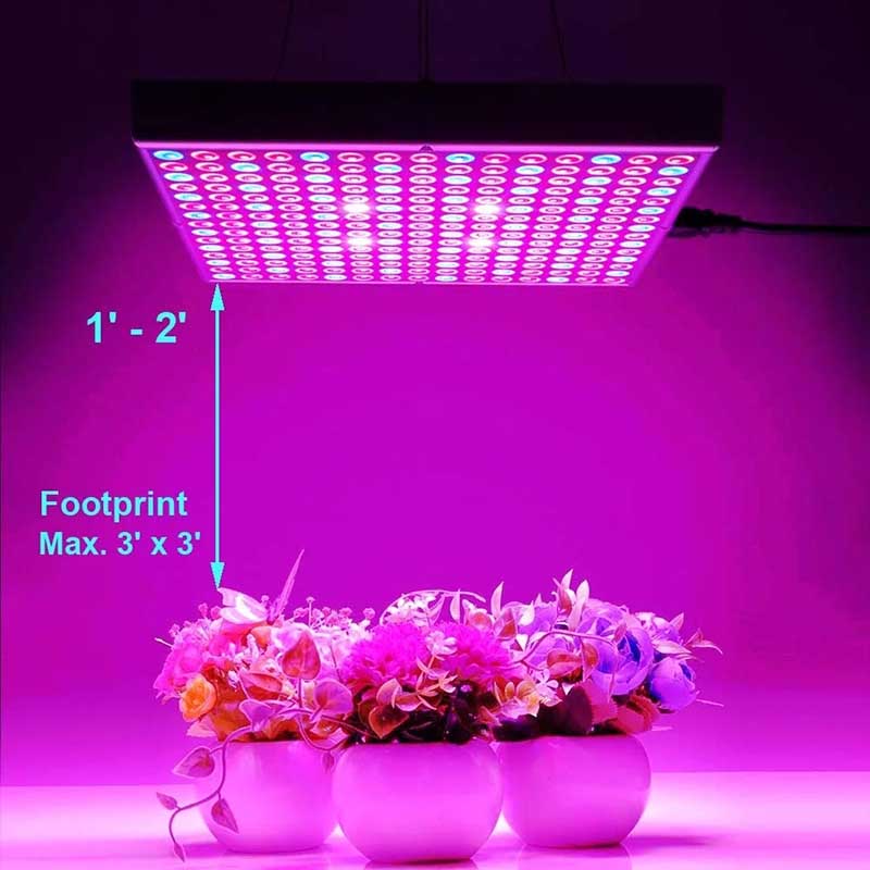How Much Does A Grow Light Cost To Run