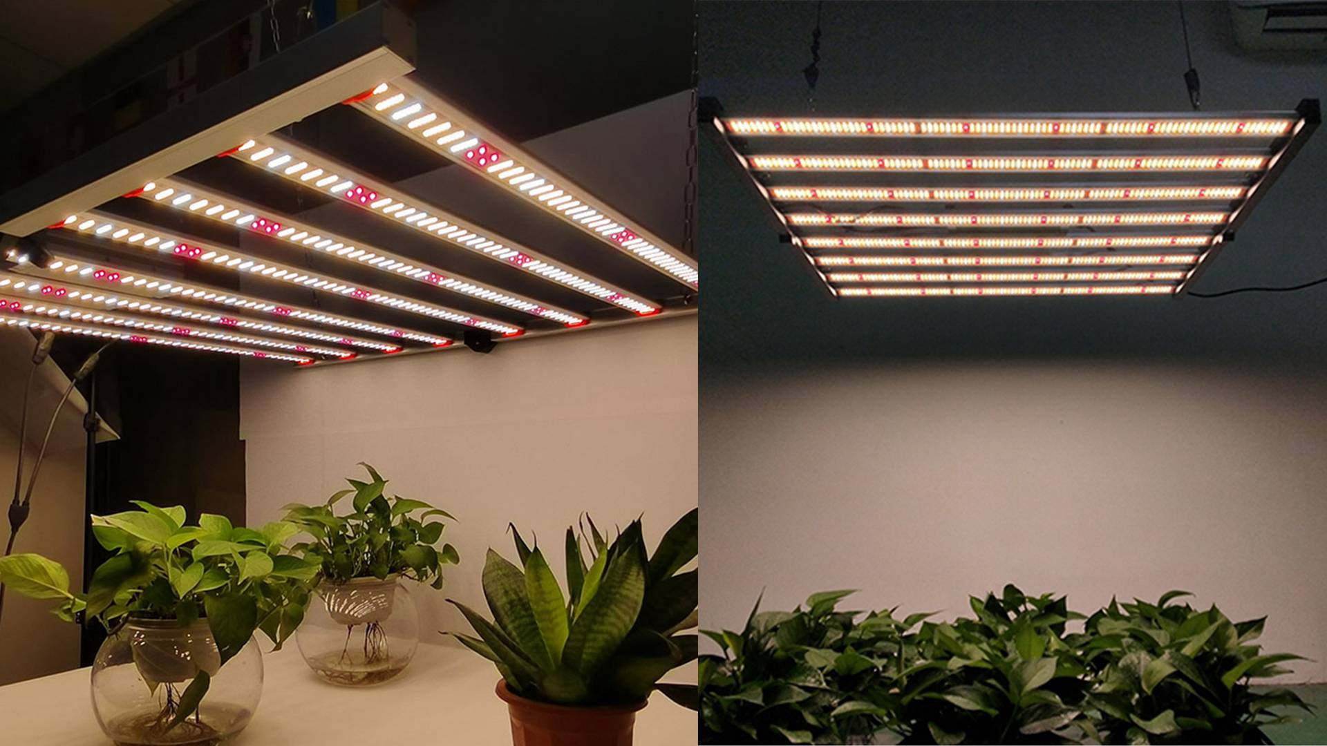 how-to-use-led-grow-light-fixtures-for-indoor-plants