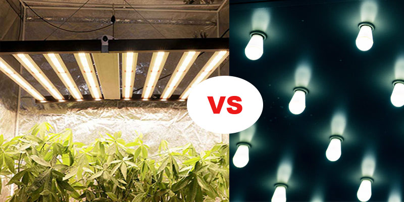 how-to-use-led-grow-light-fixtures-for-indoor-plants