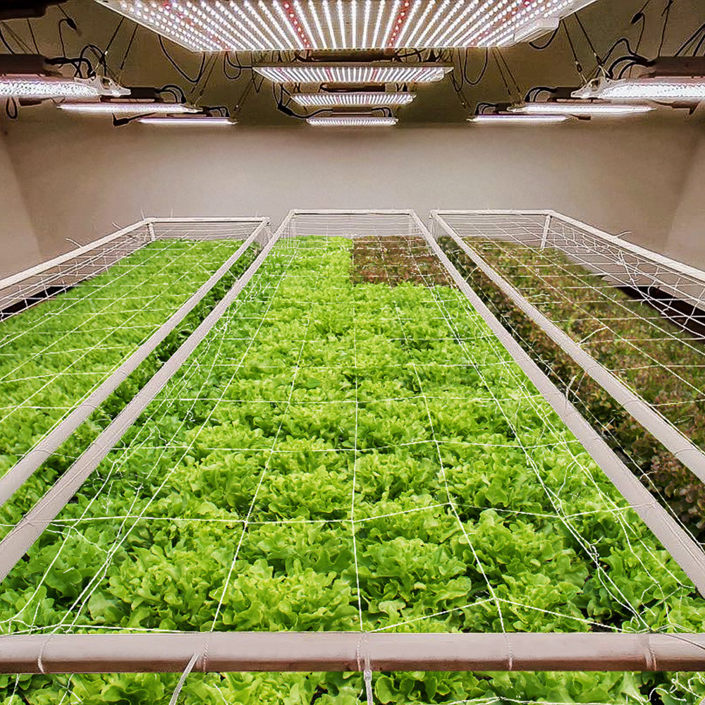 how-to-install-vegetable-grow-lights-in-the-indoor-places