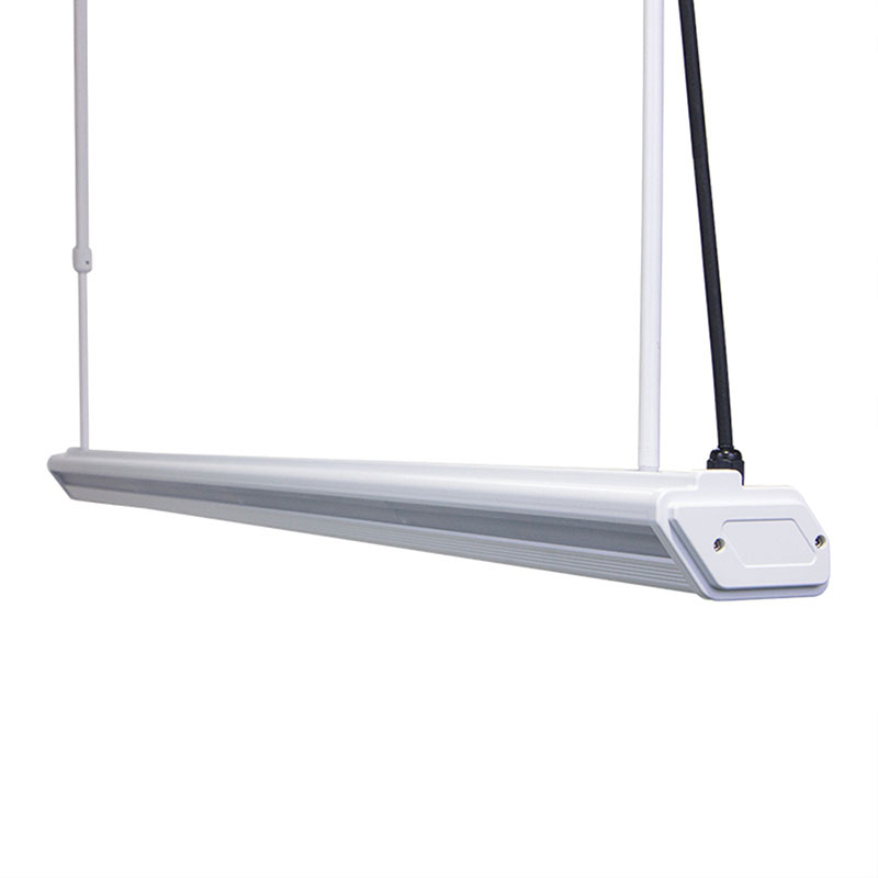 Best LED Lights for Classroom 50W Lighting For Literacy