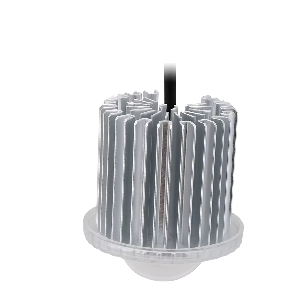 Outdoor LED Module IP66 40W for Garden light