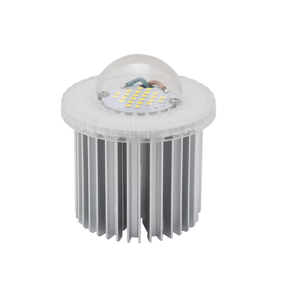Outdoor LED Module IP66 40W for Garden light